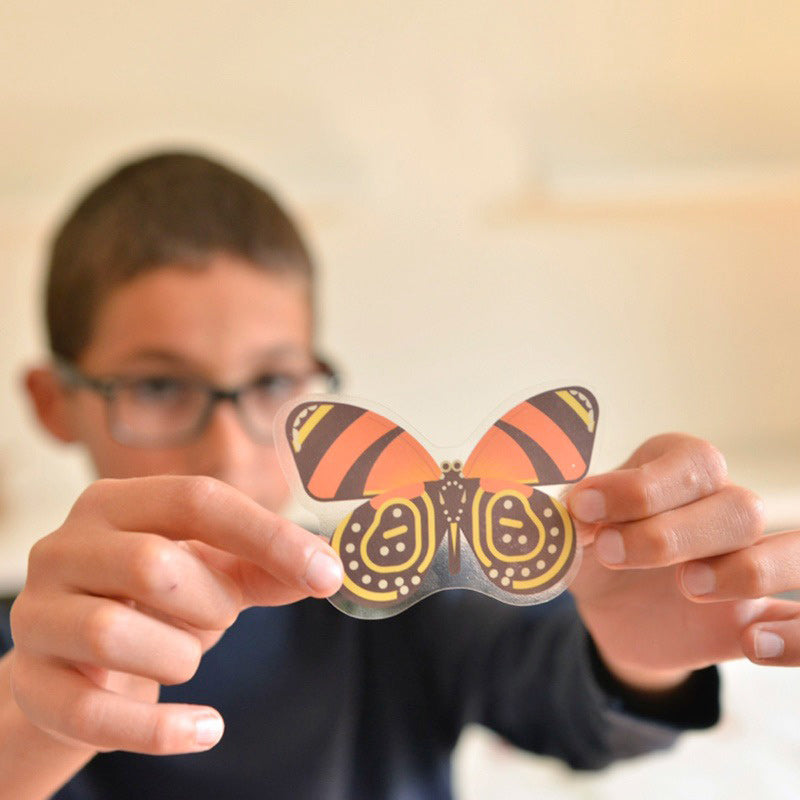 Discovery Stickers - Insects