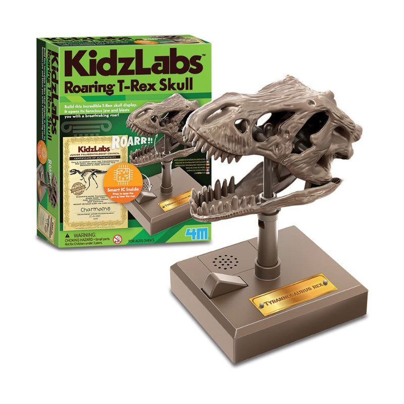 4M Kidzlabs - Roaring T-Rex Skull