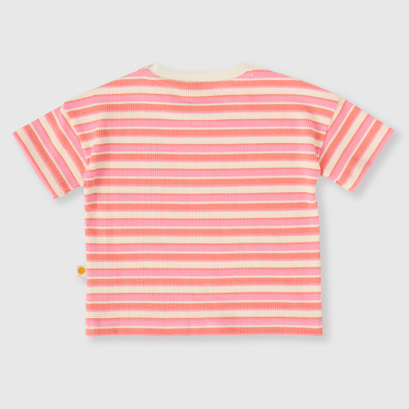 Goldie + Ace T-shirt - Watermelon Stripe