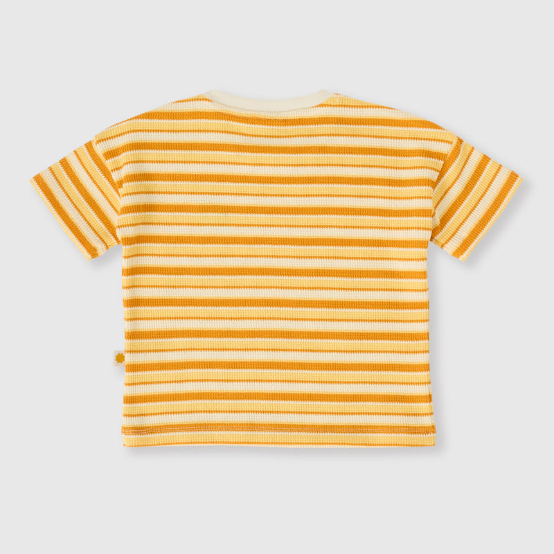 Goldie + Ace T-Shirt - Sunshine Stripe