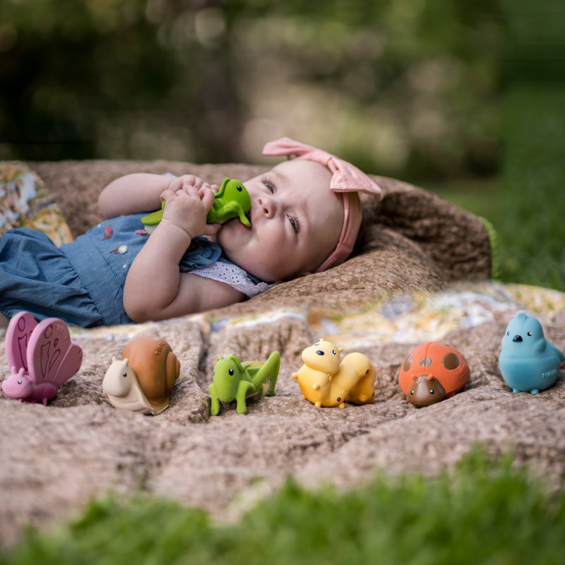 My 1st Garden Friends/ 12PC CDU