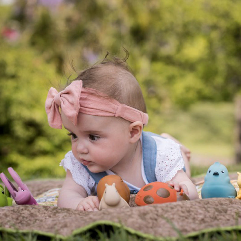 My 1st Garden Friends/ 12PC CDU