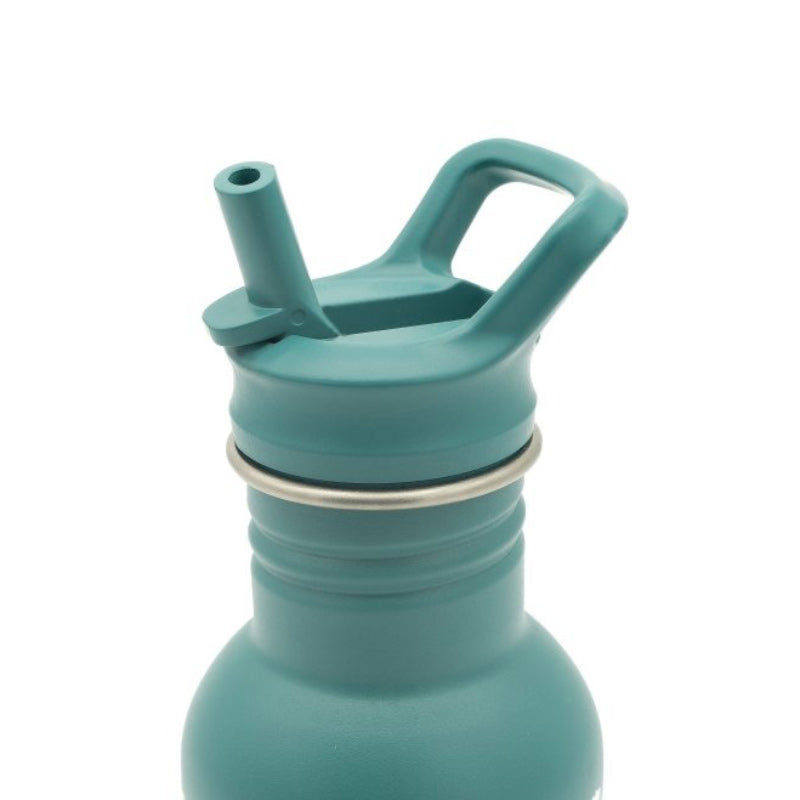 Stainless Steel Drink Bottle 500ml - Crunchy The Fox