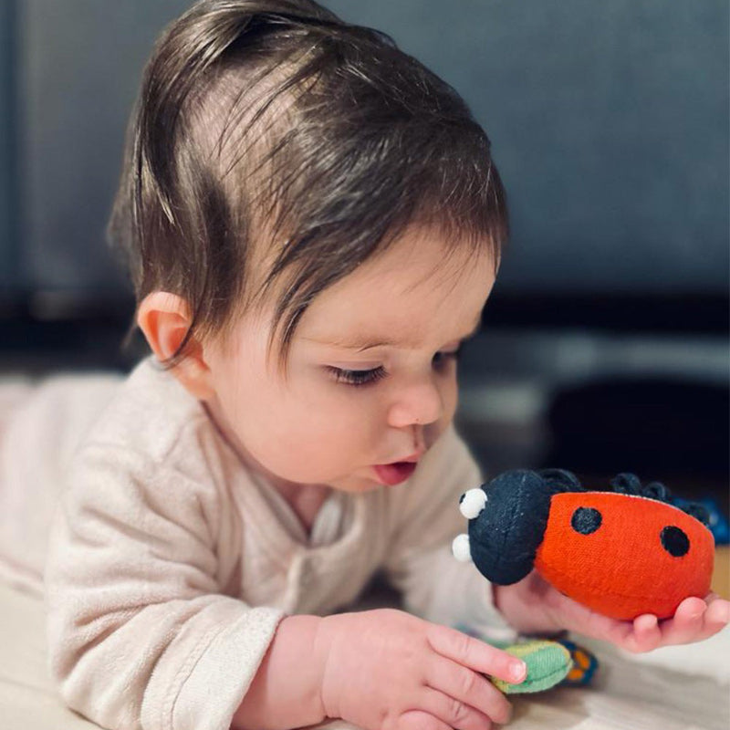 Sensory Bag Of Bugs 8PC