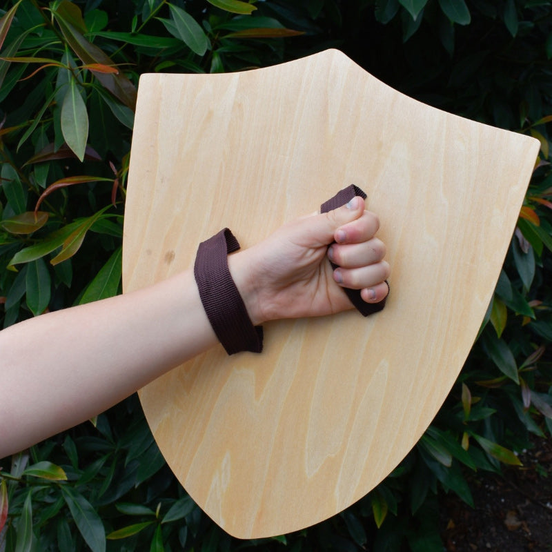 Sword & Shield - Dragon