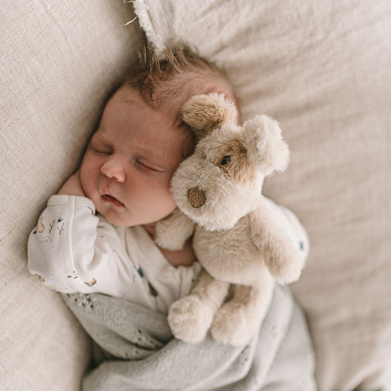 Buddy The Dog Rattle