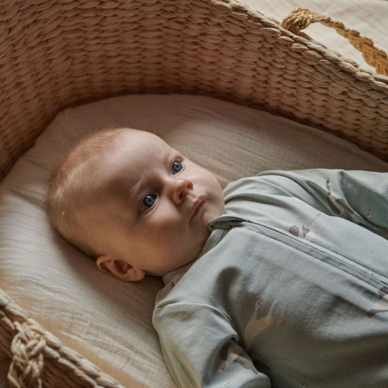 Nature Baby Dreamlands Suit - Flying Geese