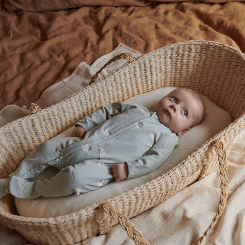 Nature Baby Dreamlands Suit - Flying Geese