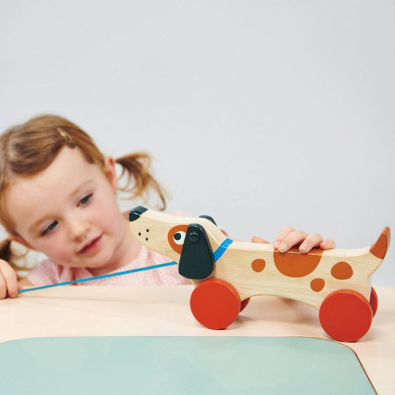 Puppy On Wheels Pull Along