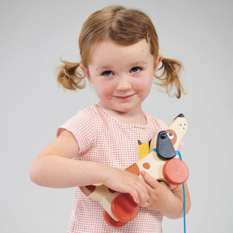 Puppy On Wheels Pull Along