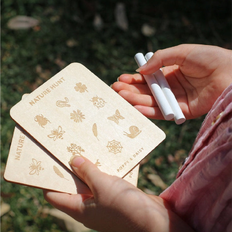 Nature Hunt Mini Kit