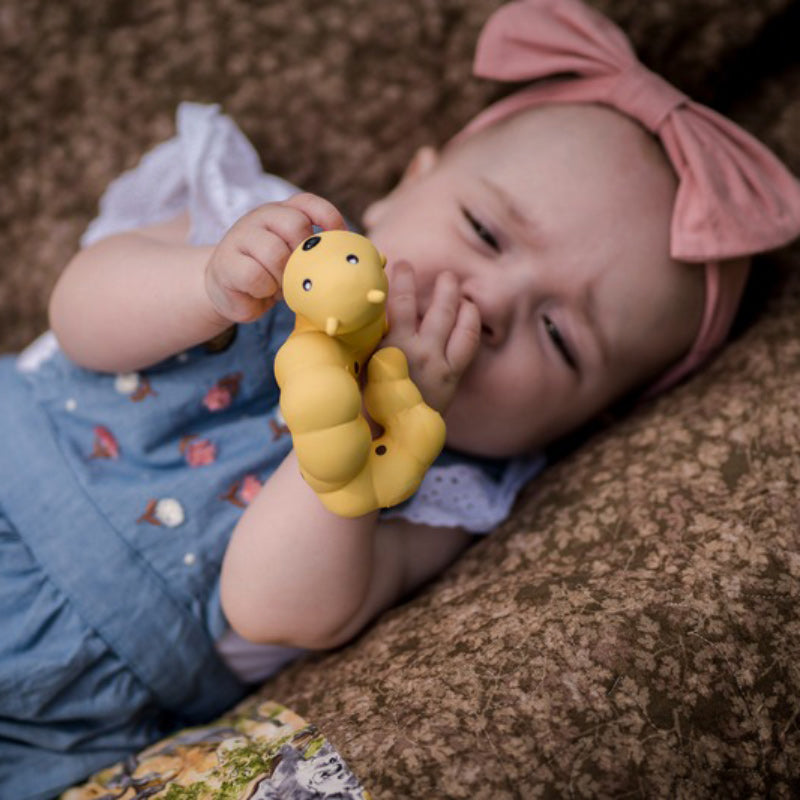 Caterpillar Garden Friends