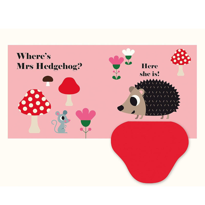 Felt Flaps: Where's Mr Owl