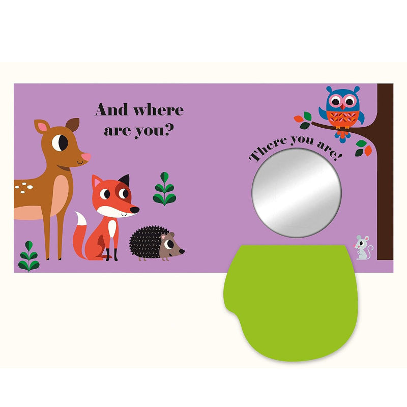 Felt Flaps: Where's Mr Owl