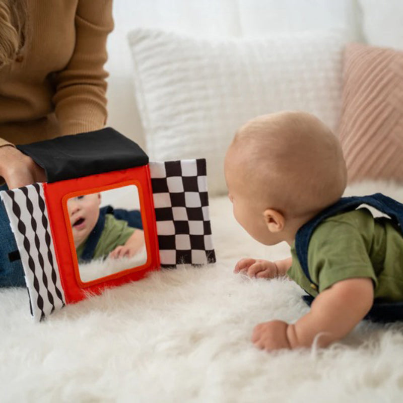 Wimmer Peek & Go Mirror