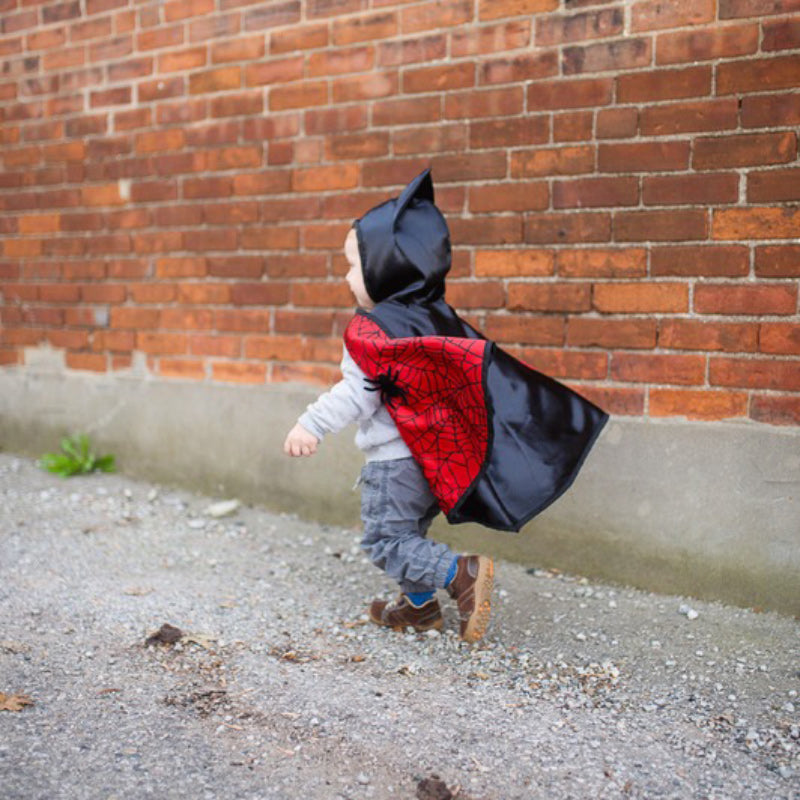 Toddler Reversible Spider & Bat Wings