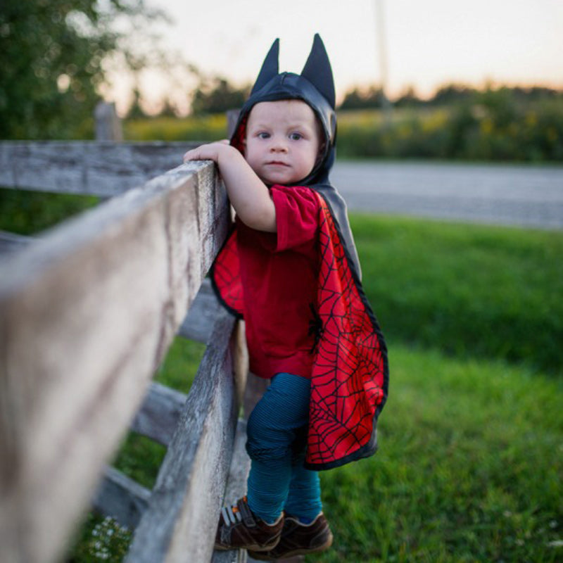 Toddler Reversible Spider & Bat Wings