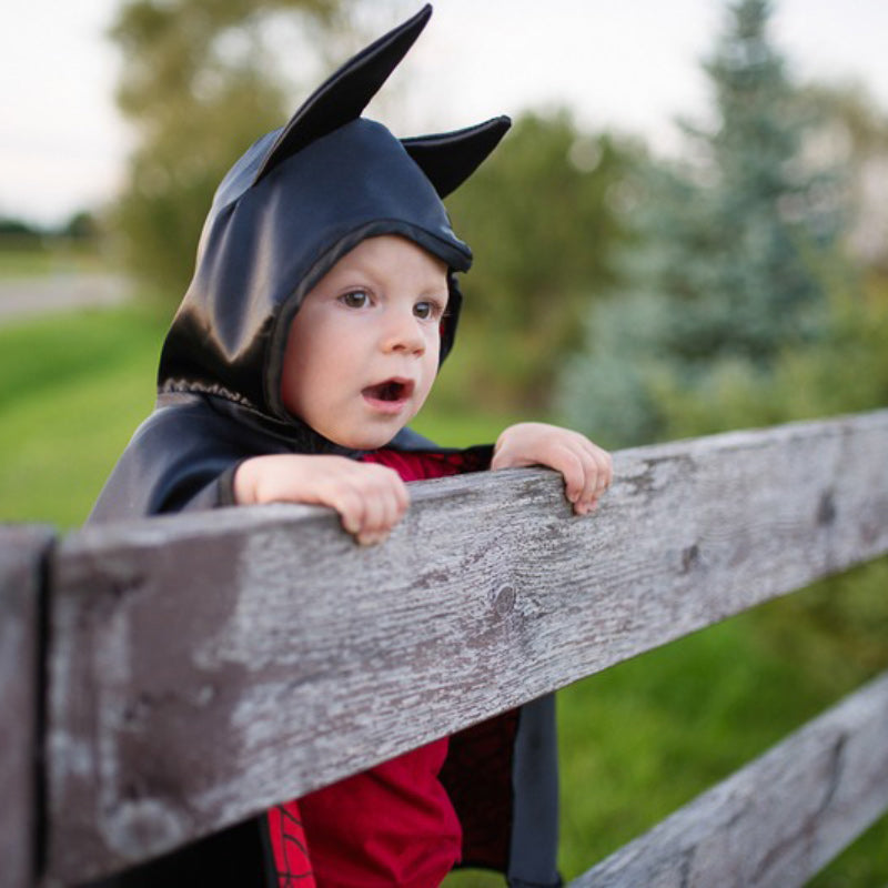 Toddler Reversible Spider & Bat Wings