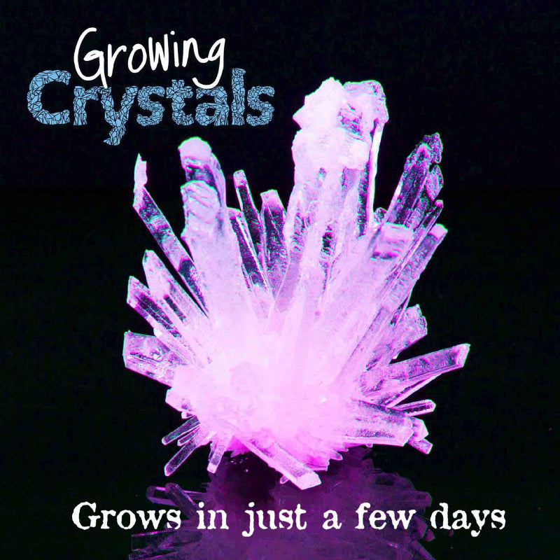 Test Tube Growing Crystals