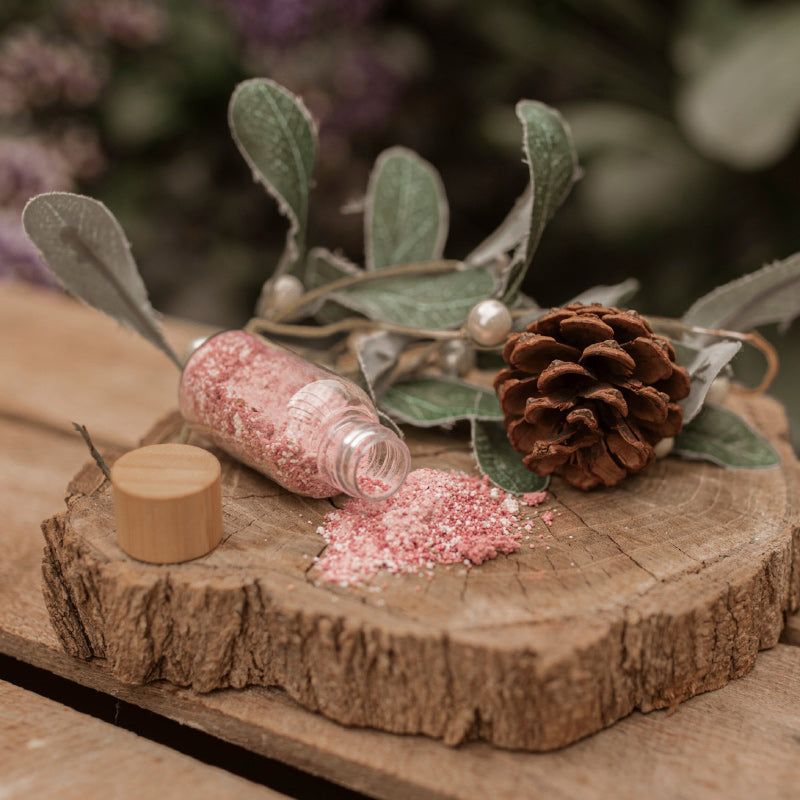 Christmas Wish Fairy