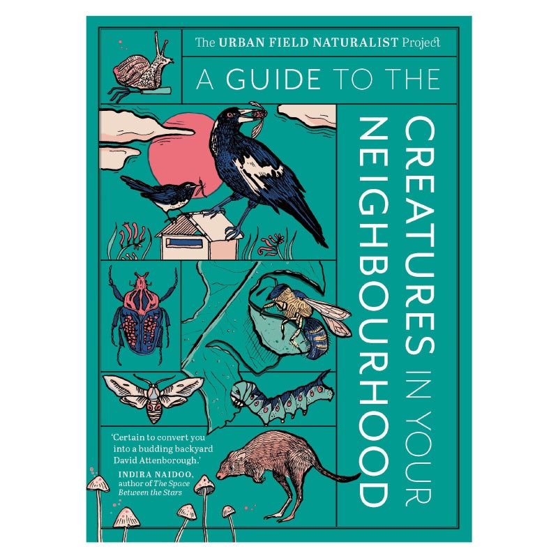 A Guide To The Creatures In Your Neighbourhood