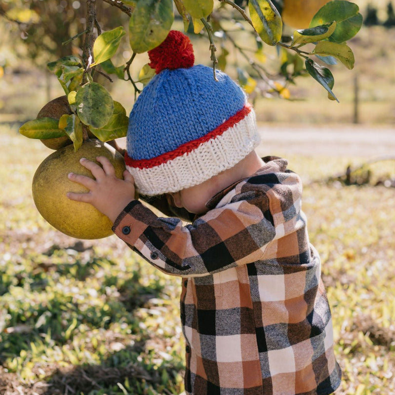 Acorn Teddy Beanie - Blue/Red