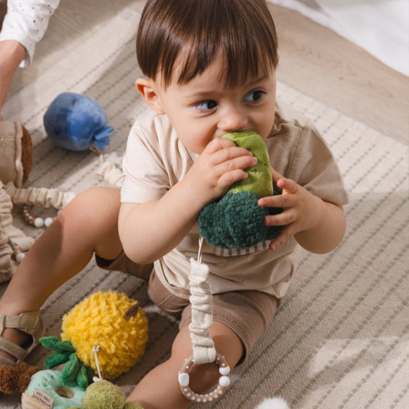 Living Textiles Stoller Toys 2PK - Broccoli & Tomato