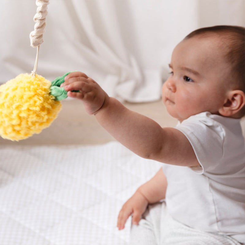 Living Textiles Stoller Toys 2PK - Pineapple & Cherries