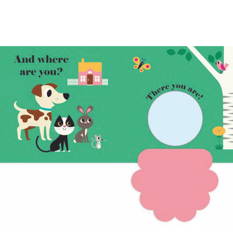 Felt Flaps Buggy Book - Where's Mr Dog?