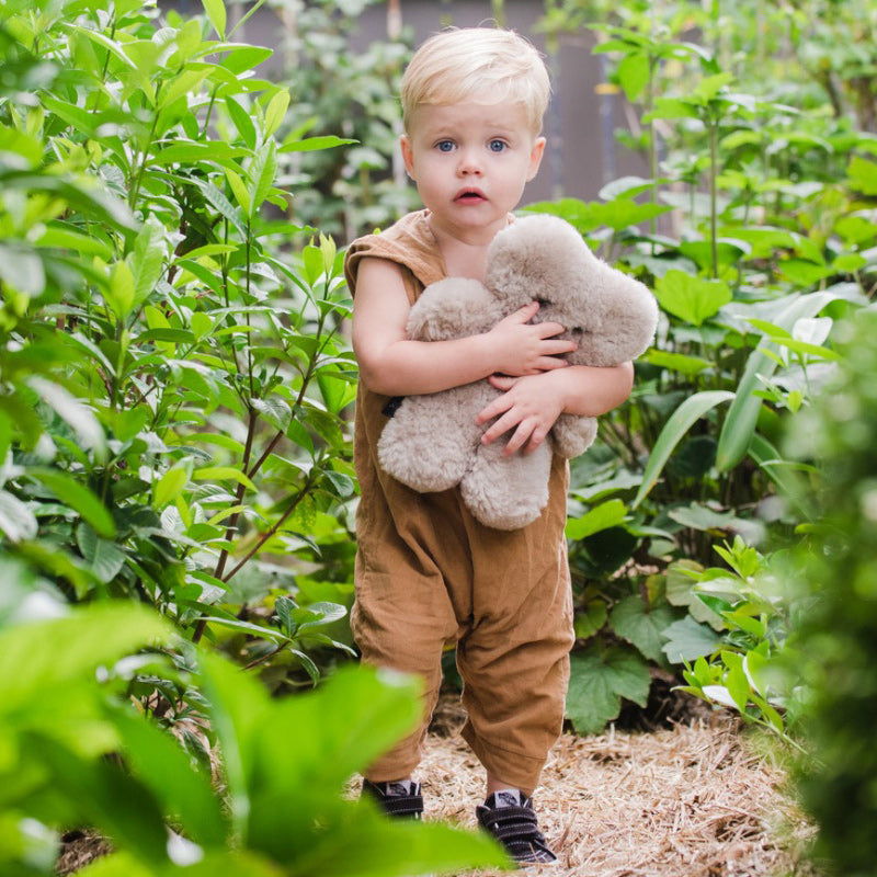 Flatout Bear - Latte