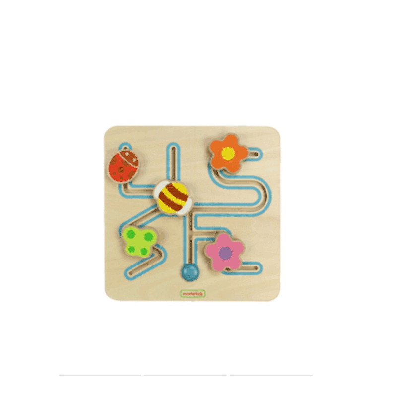 Sliding Maze - Insect