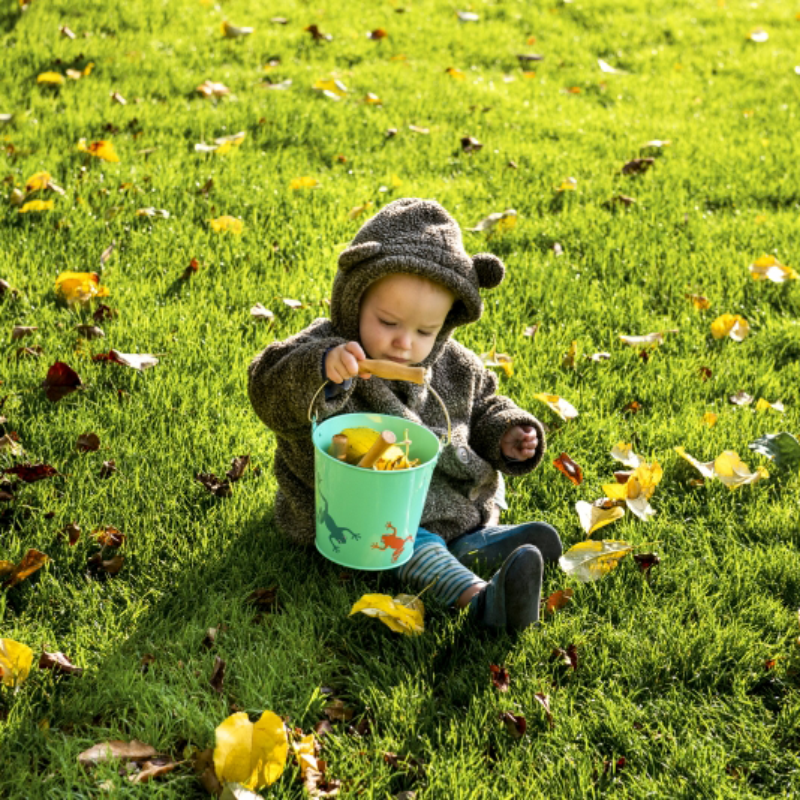 Egmont Bucket with Spade and Rake - Frog