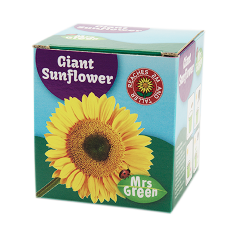 Giant Sunflower