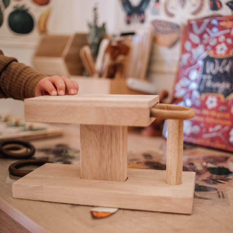 Q Toys Montessori Rings Activity