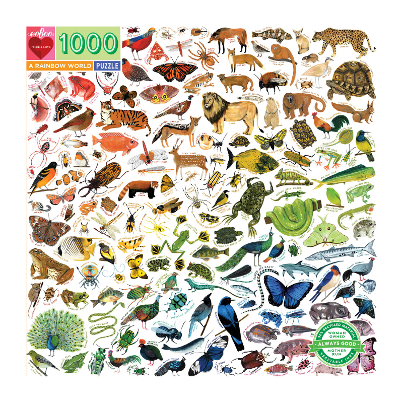 Eeboo 1000PC Puzzle - Rainbow World