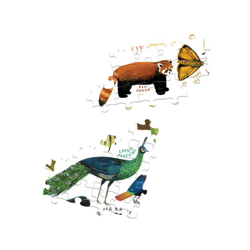 Eeboo 1000PC Puzzle - Rainbow World