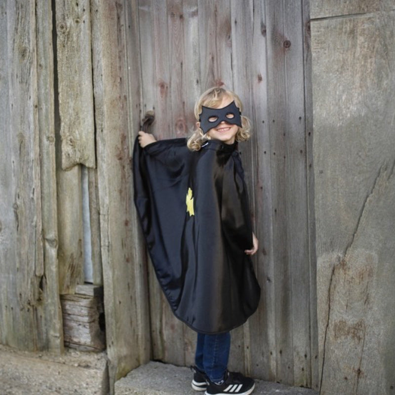 Reversible Spider & Bat Cape/Mask