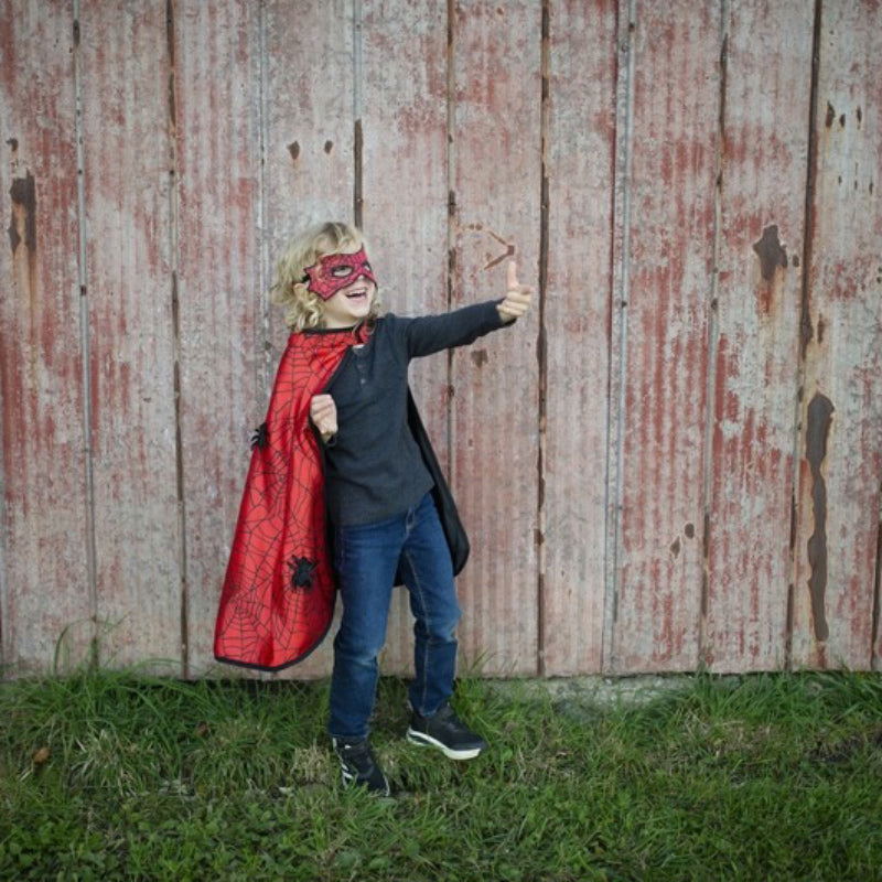 Reversible Spider & Bat Cape/Mask