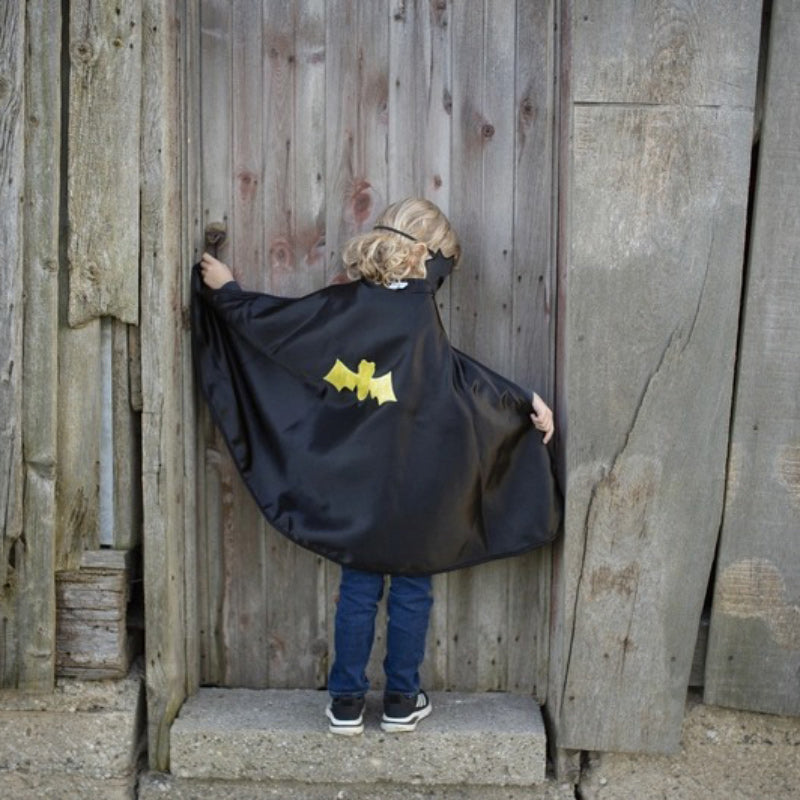 Reversible Spider & Bat Cape/Mask