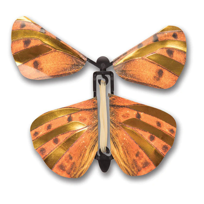 Wind Up Australian Butterflies