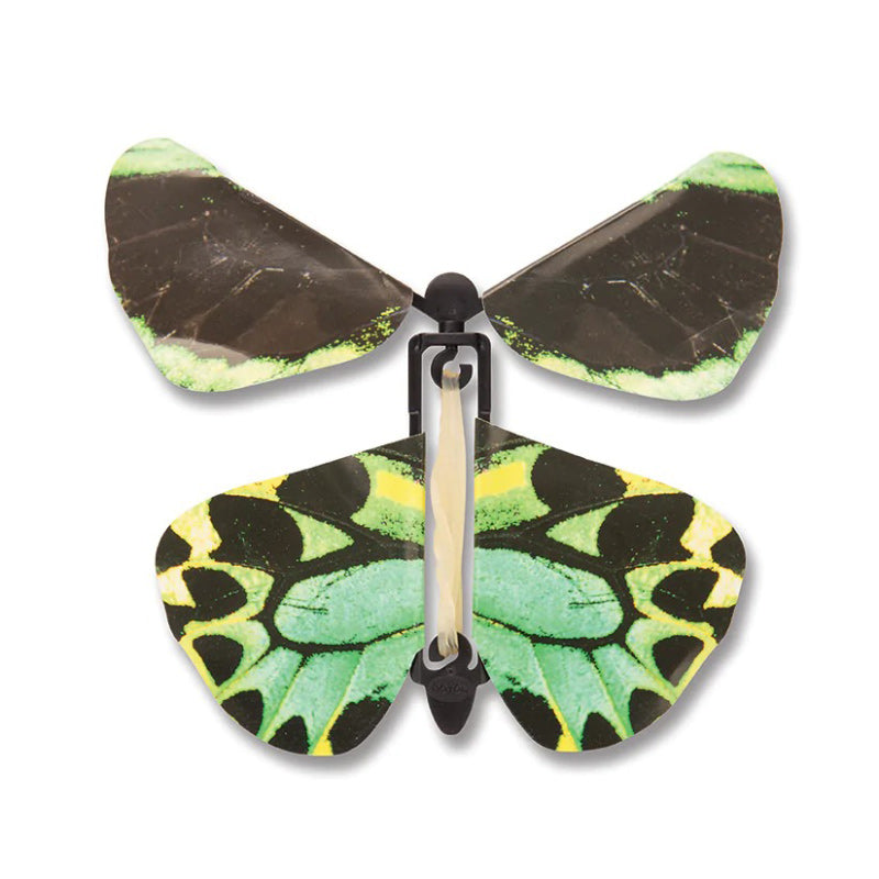 Wind Up Australian Butterflies