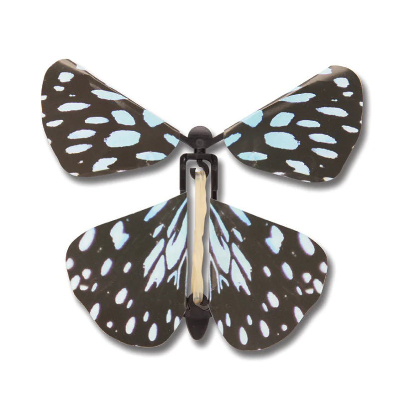 Wind Up Australian Butterflies
