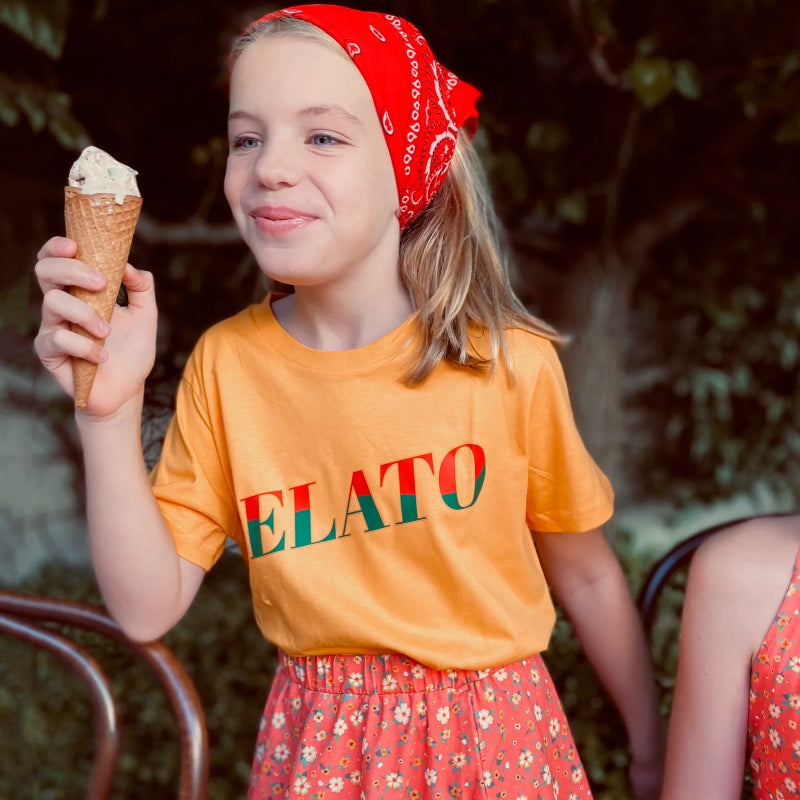 Play ETC Skater Skirt - Sunkist Floral