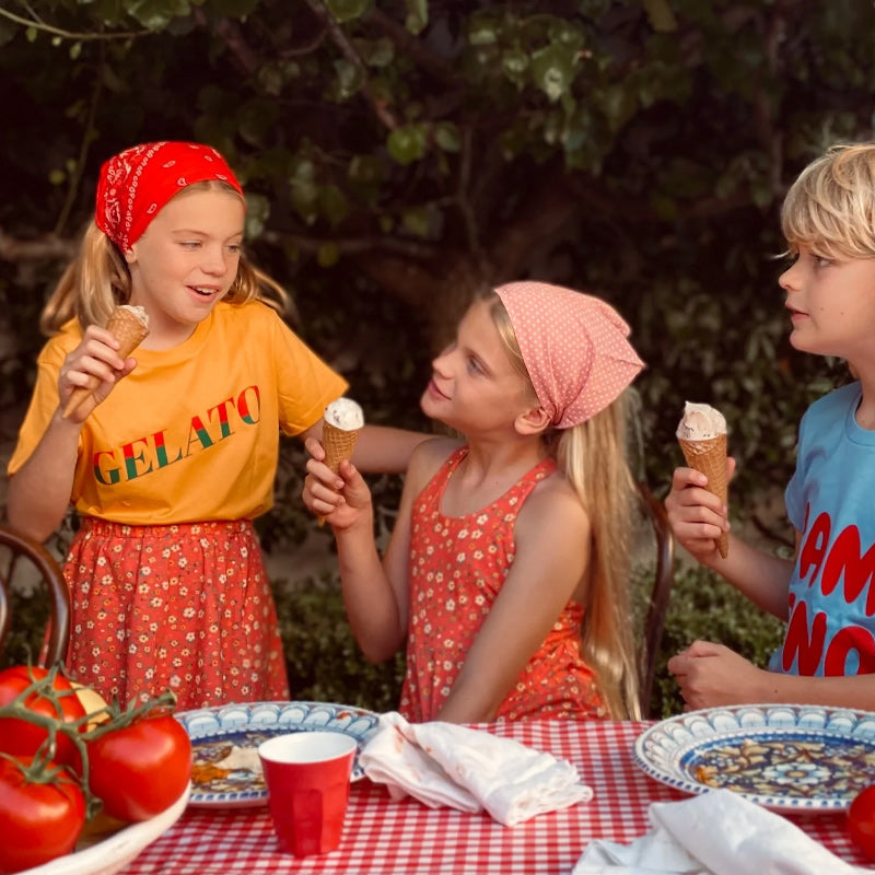 Play ETC Skater Skirt - Sunkist Floral