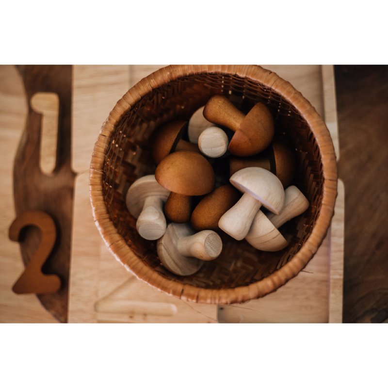 Q Toys Mushroom Set Of 10