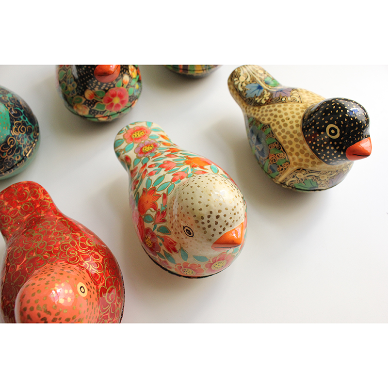 Paradise Parakeet box - assorted