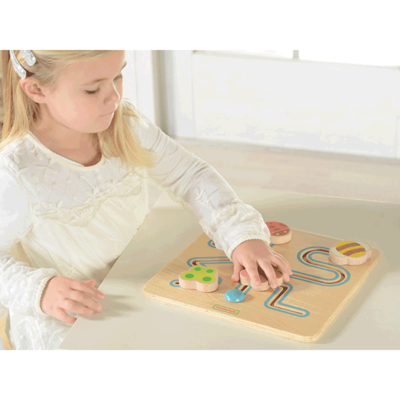 Sliding Maze - Insect