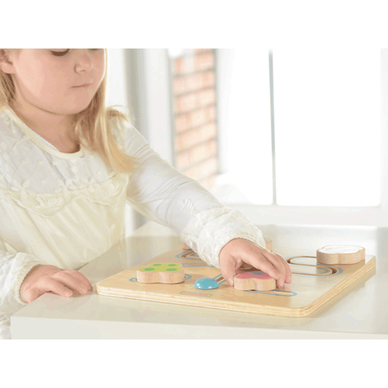 Sliding Maze - Insect