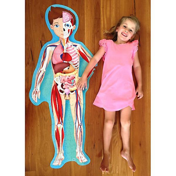 The Human Body Puzzle by sassi in Shorties innerwest