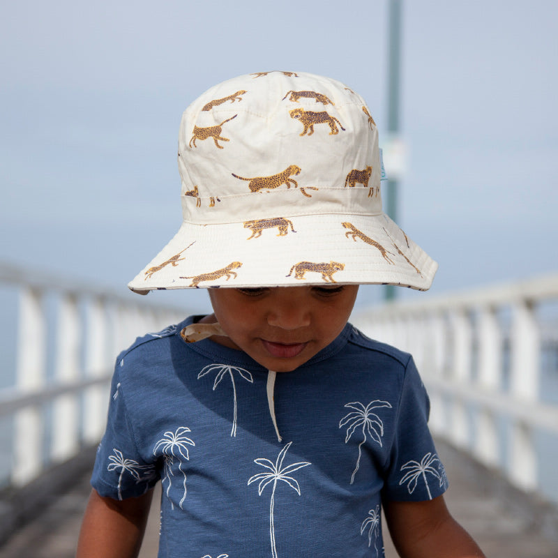 Acorn Reversible Bucket Hat - Big Cats